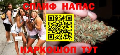 индика Рыбинск