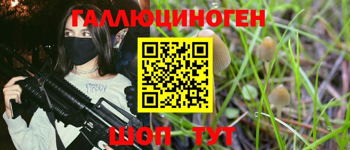 Галлюциногенные грибы GOLDEN TEACHER  Псилоцибиновые грибы GOLDEN TEACHER  наркотики  Саранск  Вход с VPN 