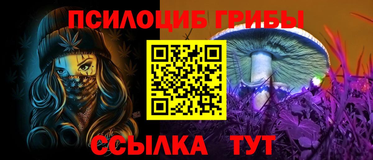 Псилоцибиновые грибы Psilocybine cubensis Саранск