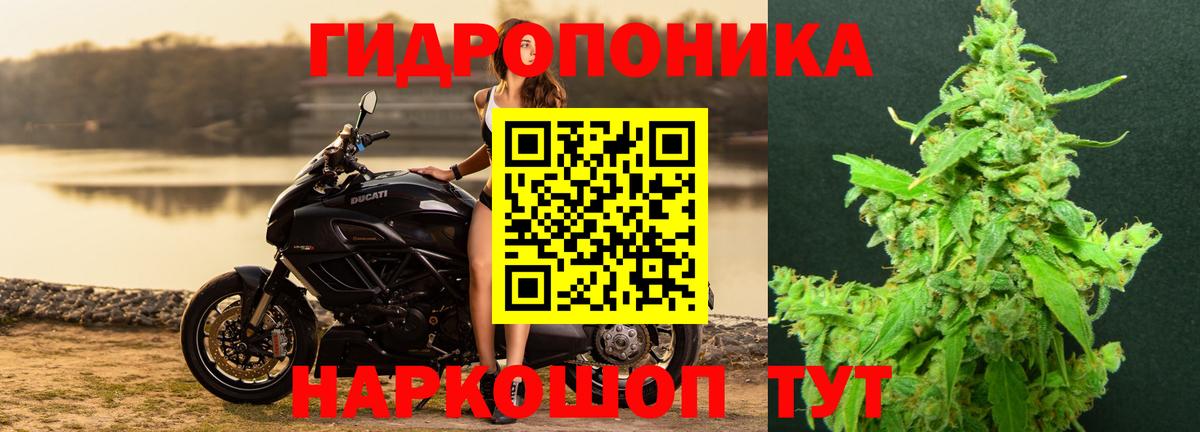 Канабис Bruce Banner Саранск